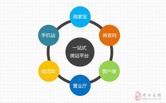 周口指尖傳媒 專業網站建設與維護的領航者